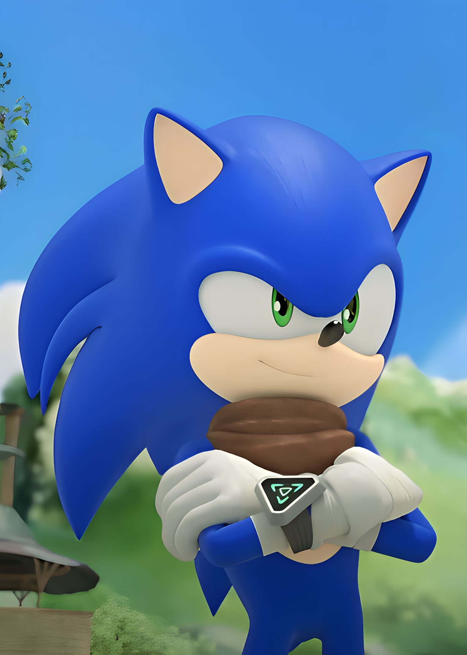 sonic images