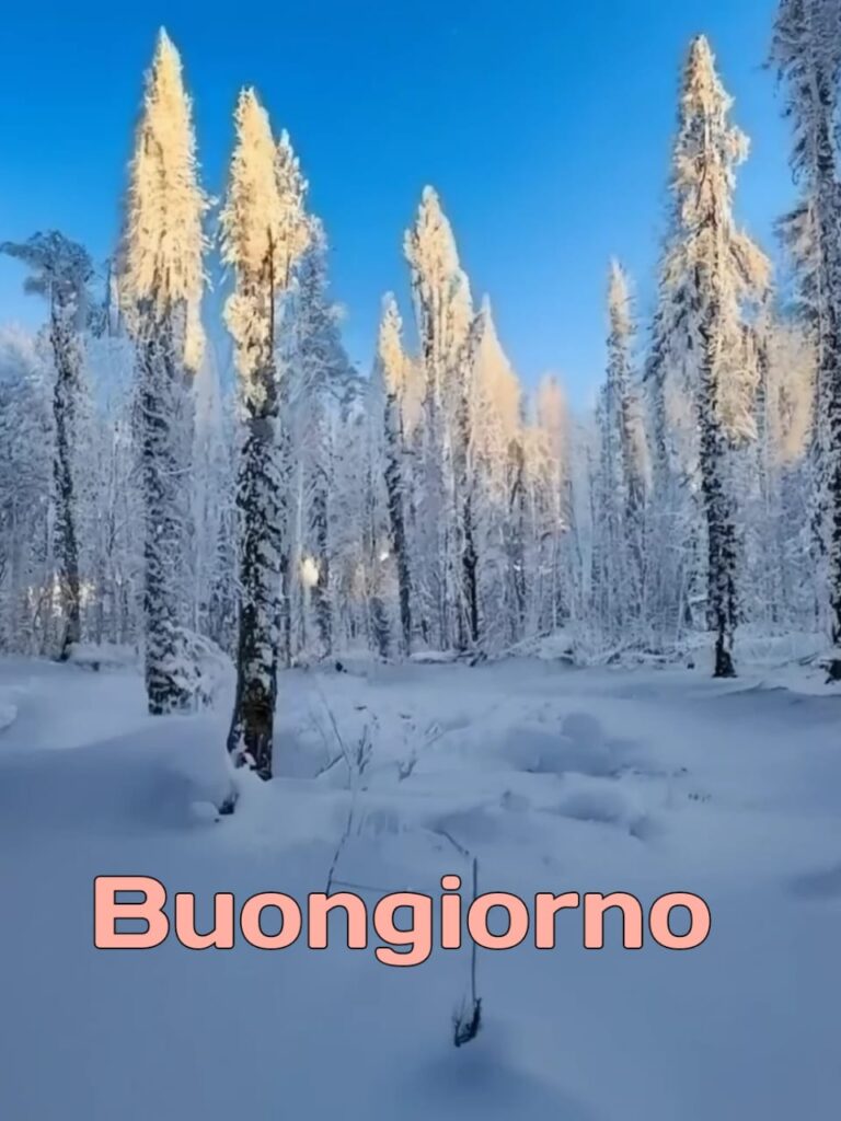 augurando buongiorno invernale