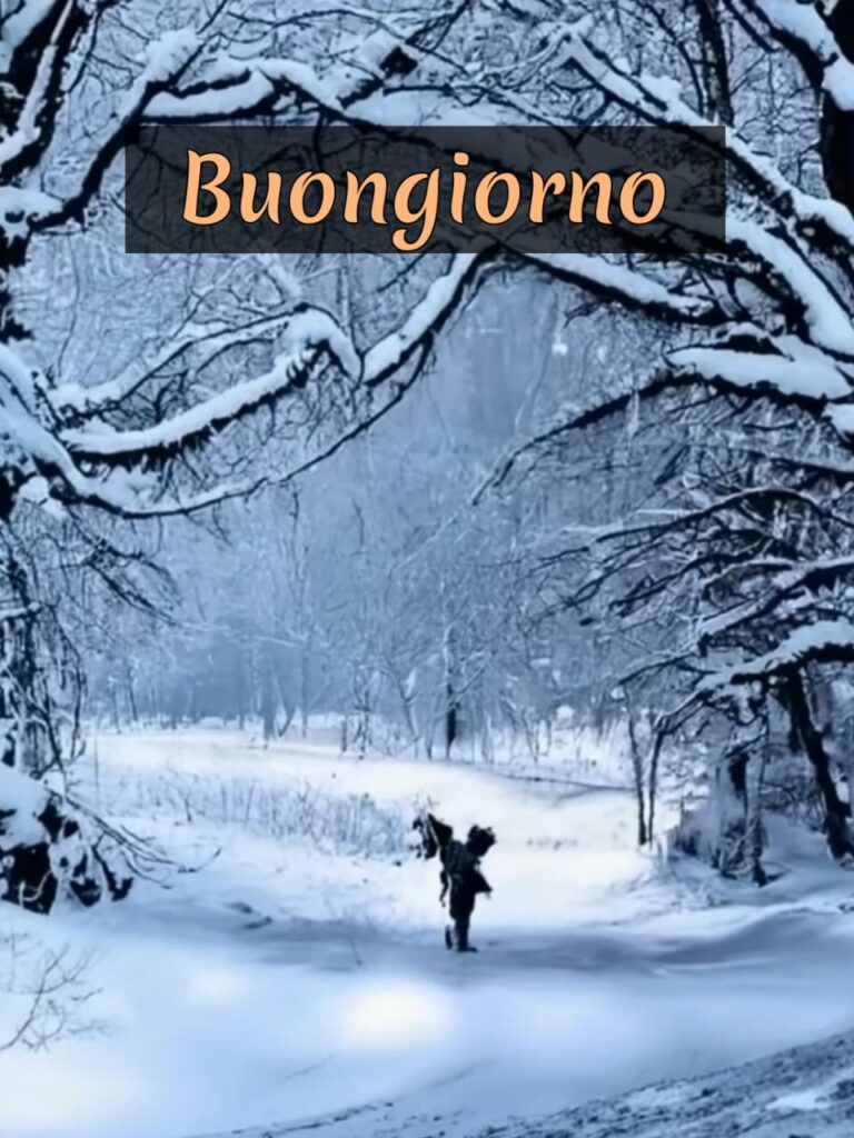 buongiorno invernale con il sole