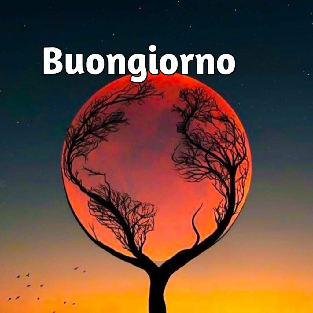 buongiorno speciale immagini di buongiorno bellissimi

