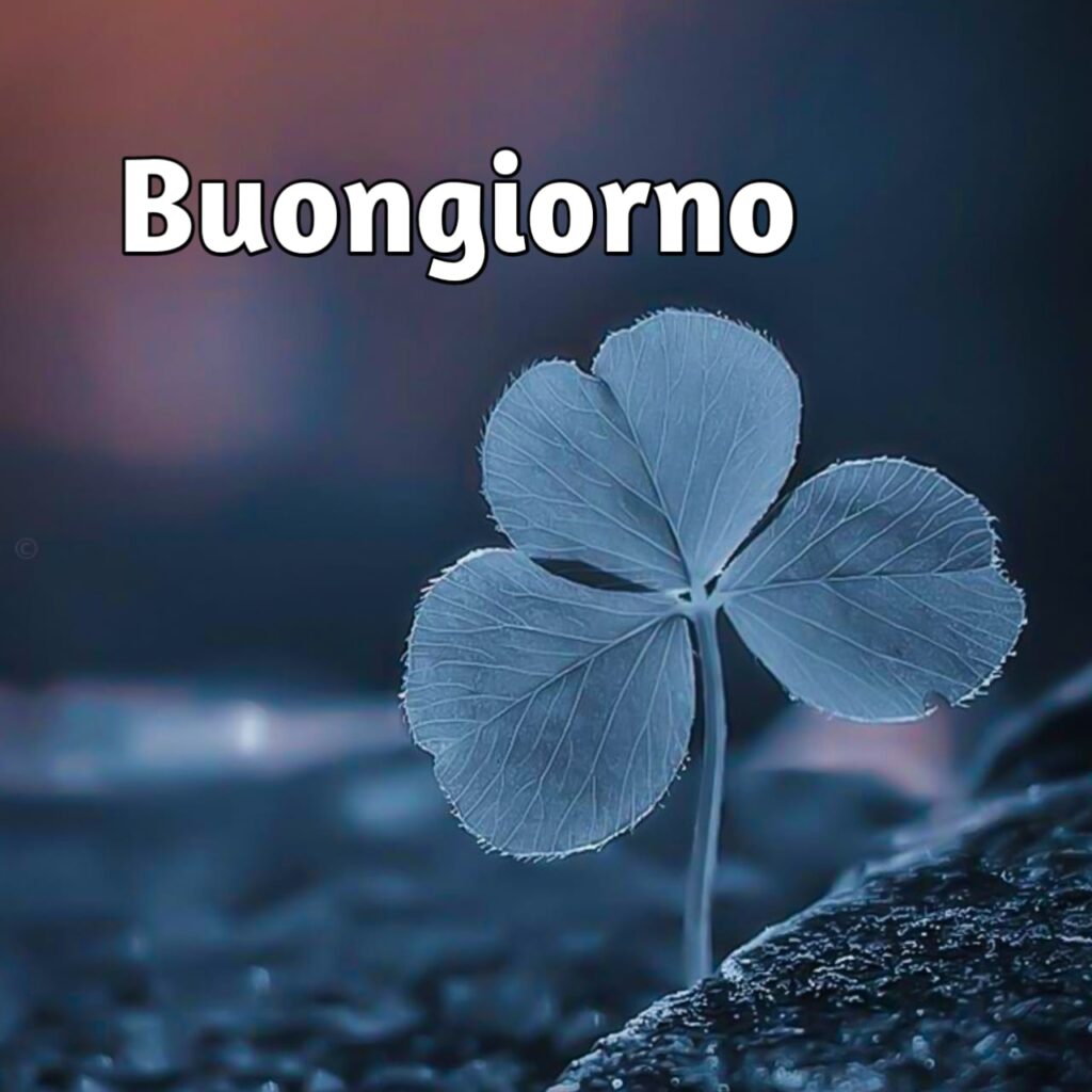 immagini di buongiorno bellissimi