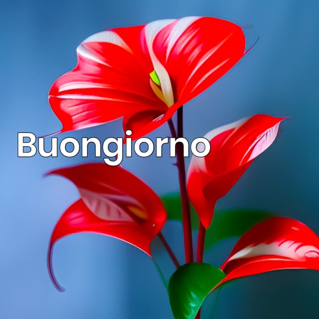 BEST semplicemente buongiorno immagini nuove