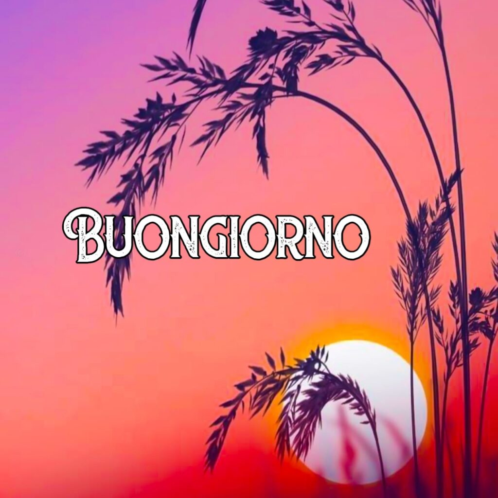 buongiorno speciale

