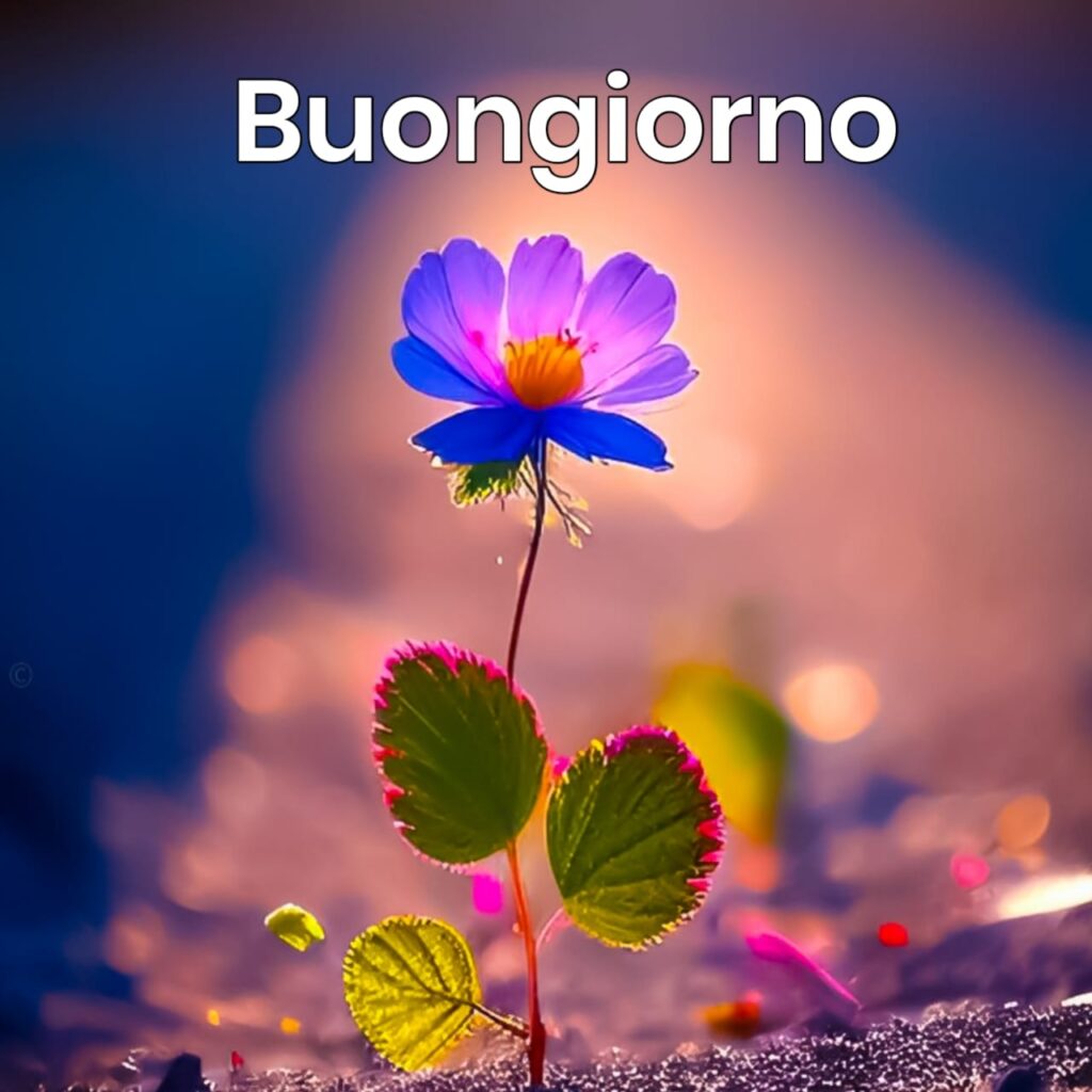 bellissime whatsapp bellissime magicobuongiorno immagini buongiorno nuove