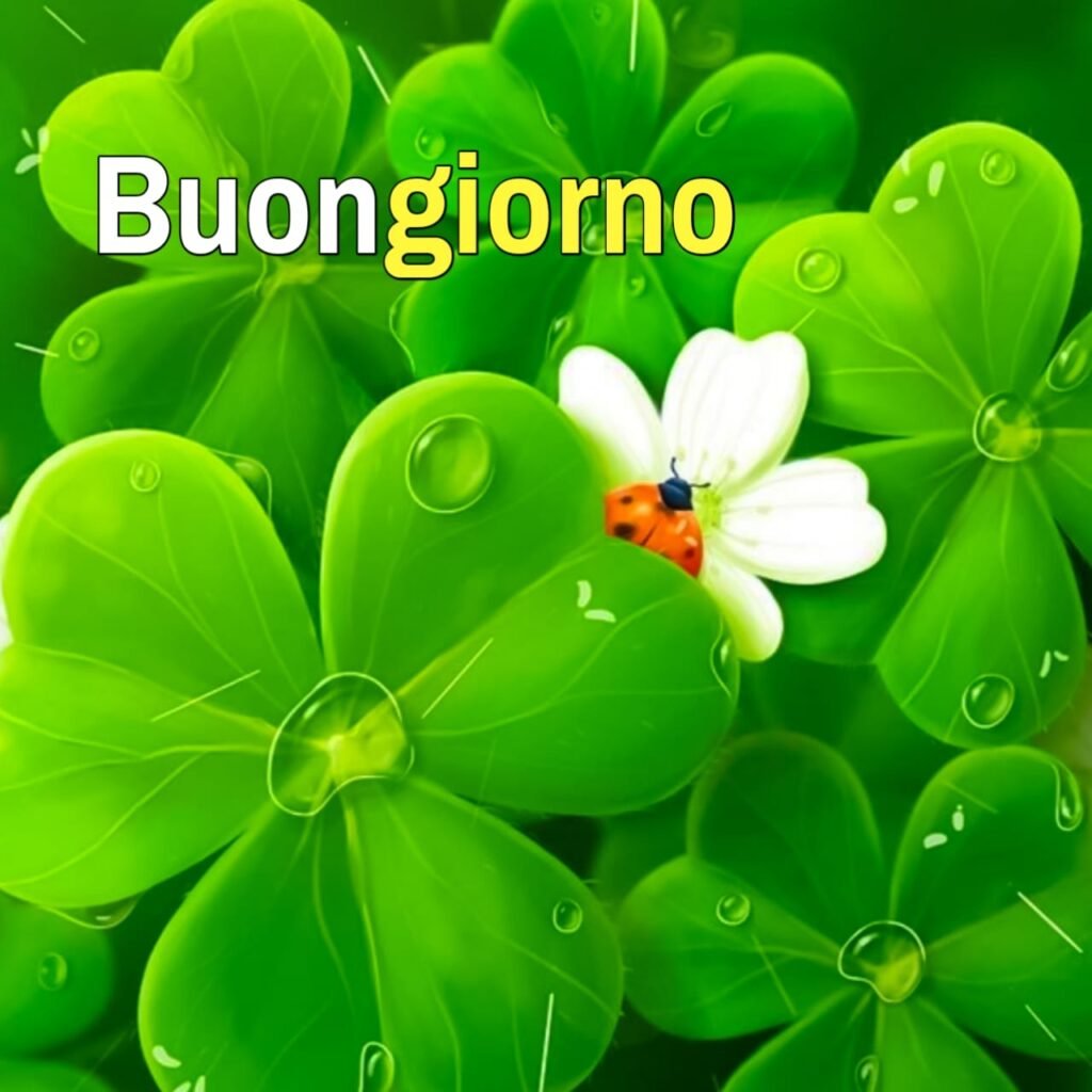 buon giovedi buongiorno immagini nuove HD