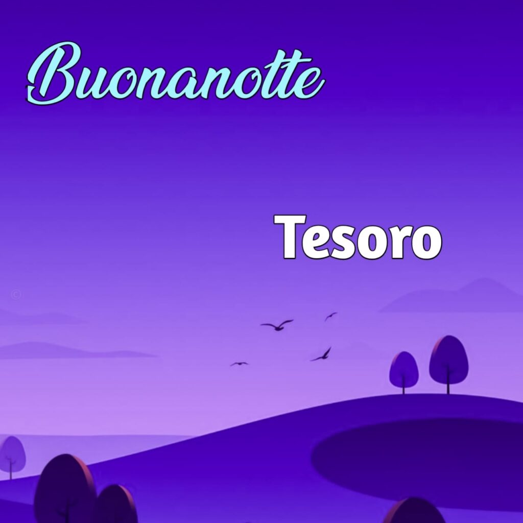 buonanotte tesoro mio immagini nuove 5