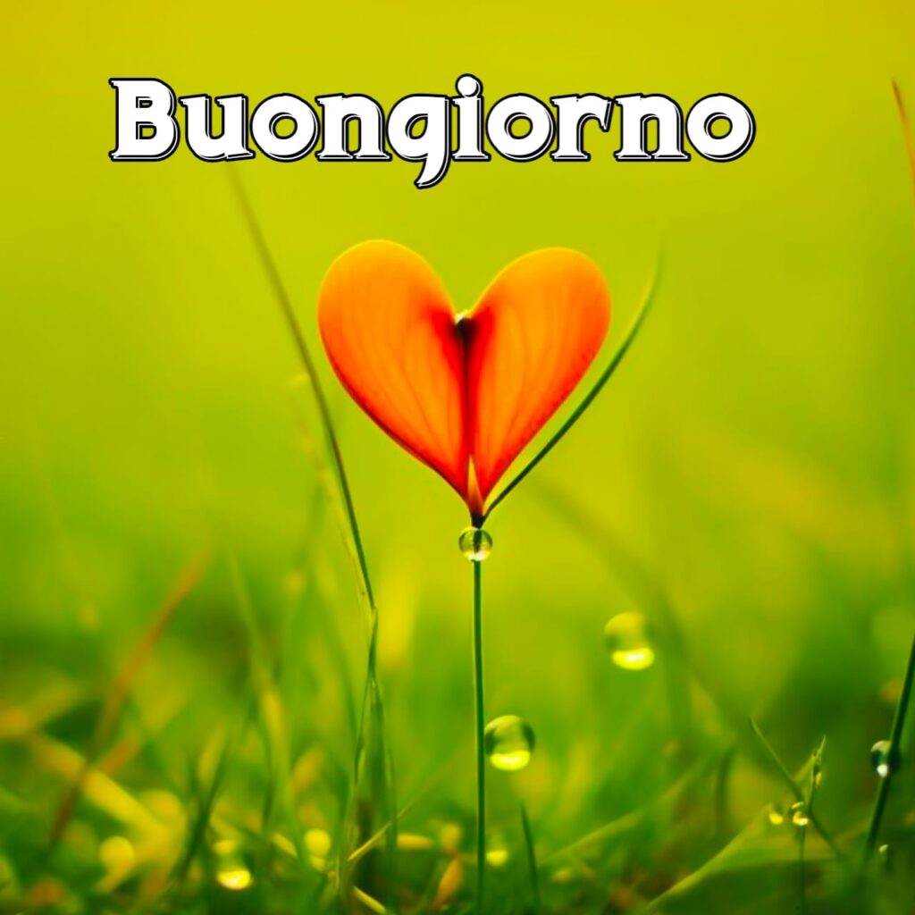 buongiorno divertenti gratis