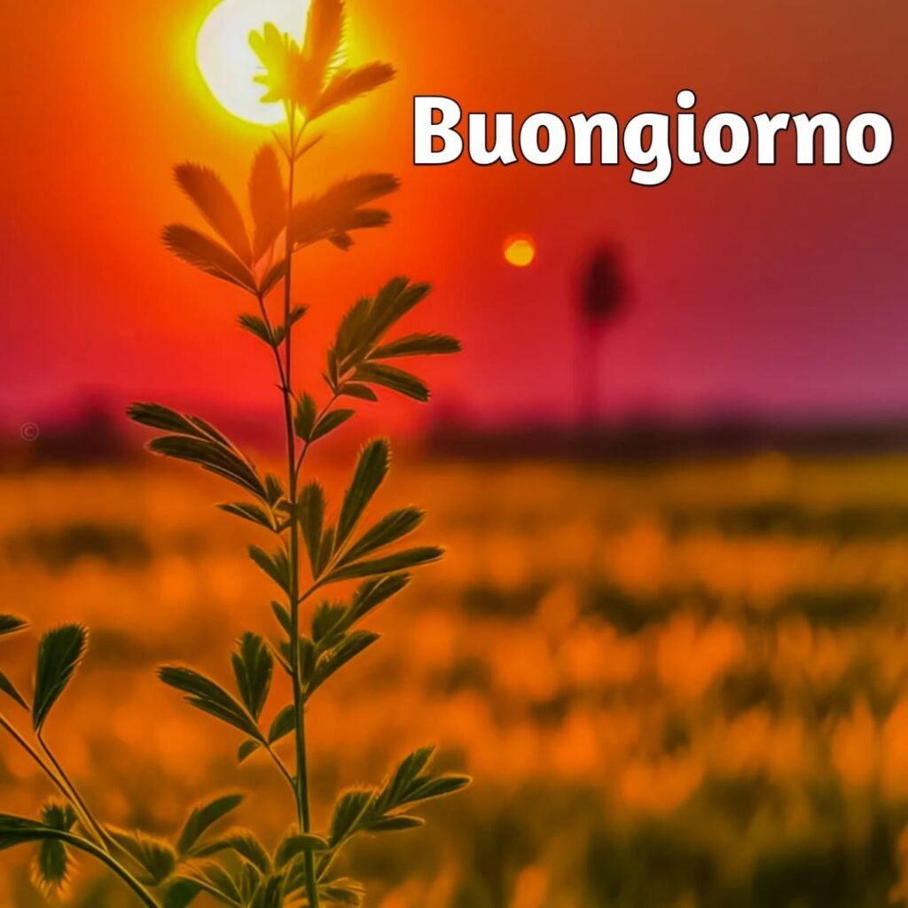 buongiorno immagini nuove 2022 gratis per whatsapp gratis download HD