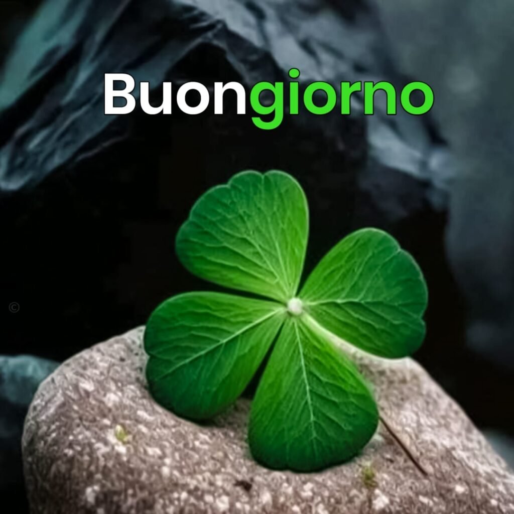 buongiorno immagini nuove 2024 buona domenica HD