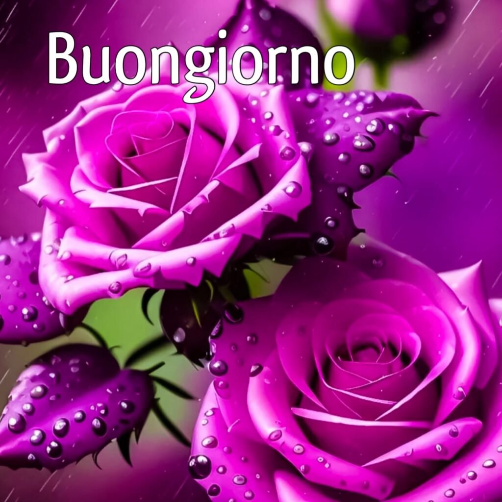 buongiorno immagini nuove 2022 gratis per whatsapp gratis download HD