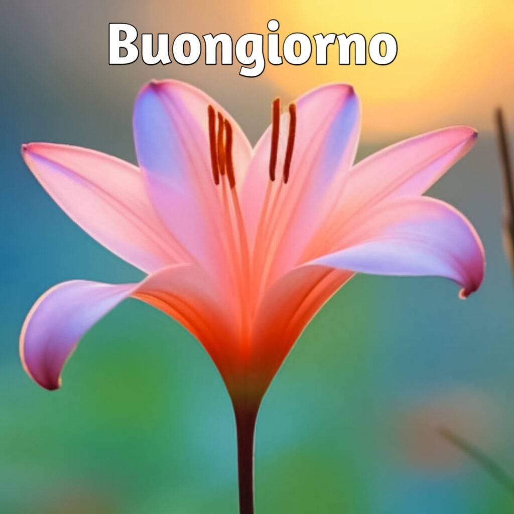 buongiorno immagini nuove divertenti HD