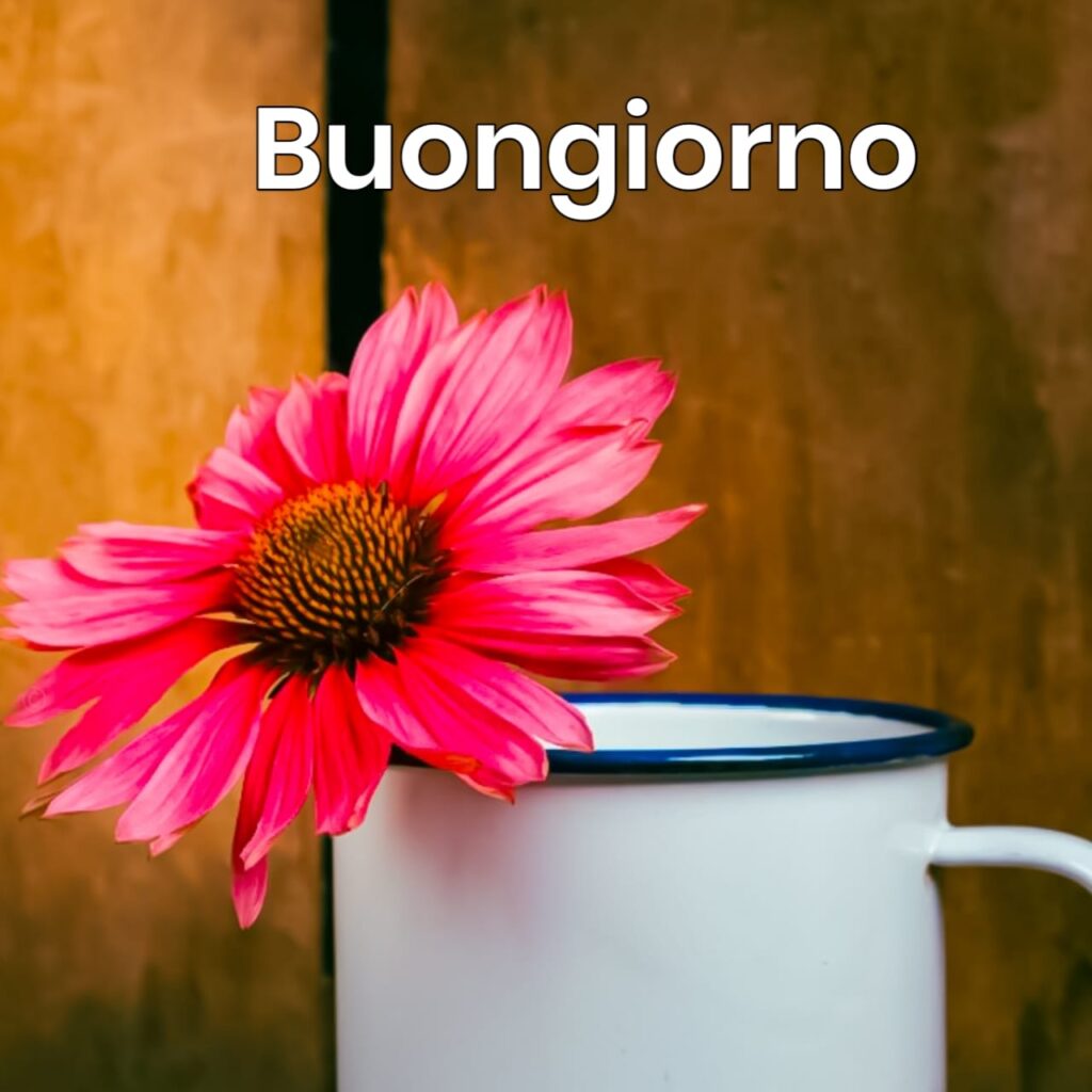 buongiorno immagini nuove gratis buongiorno nuovissimi