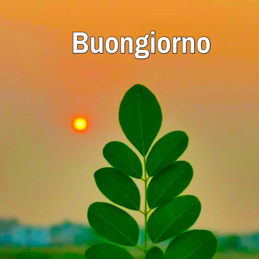 buongiorno immagini nuove gratis per whatsapp