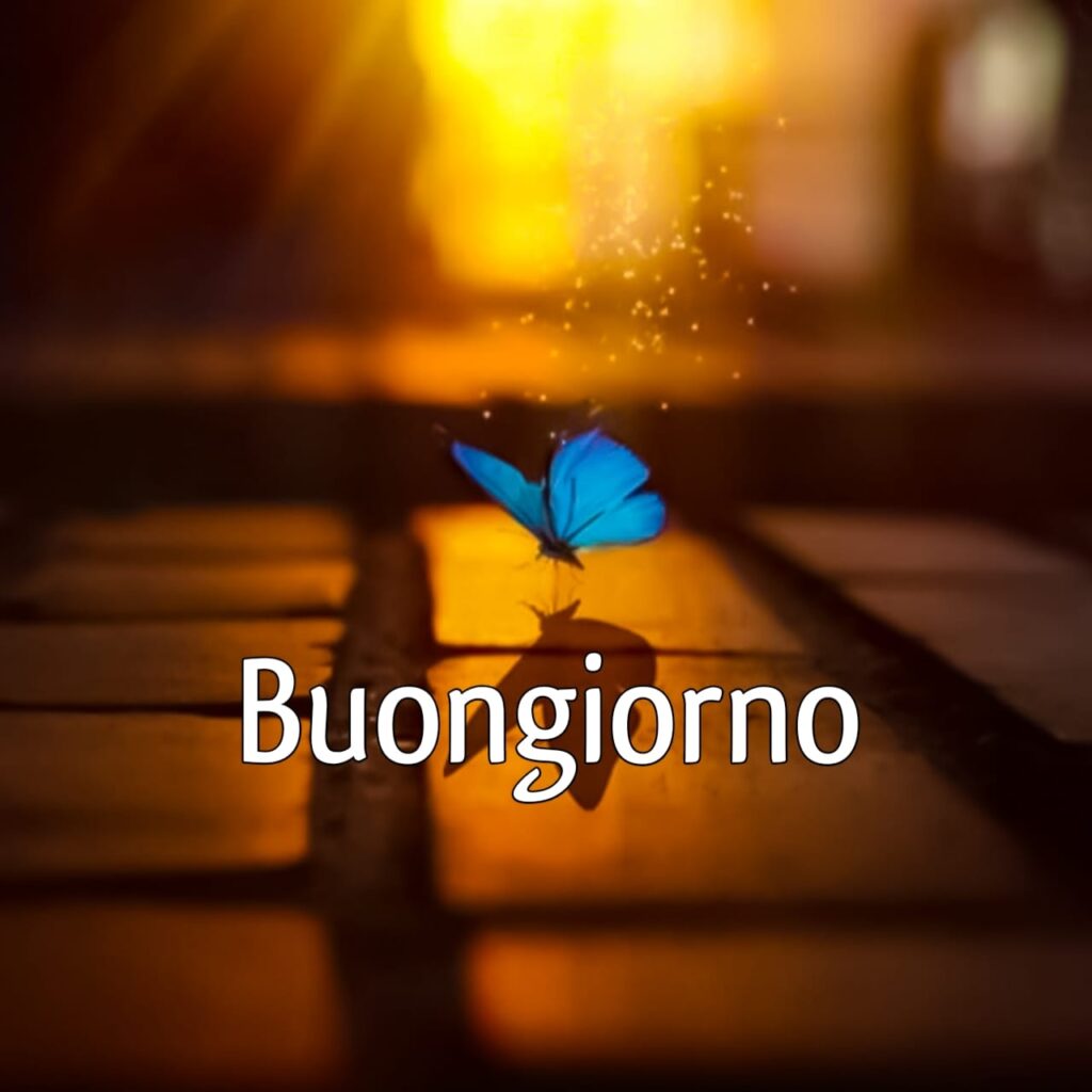 buongiorno nuovissimi mercoledi