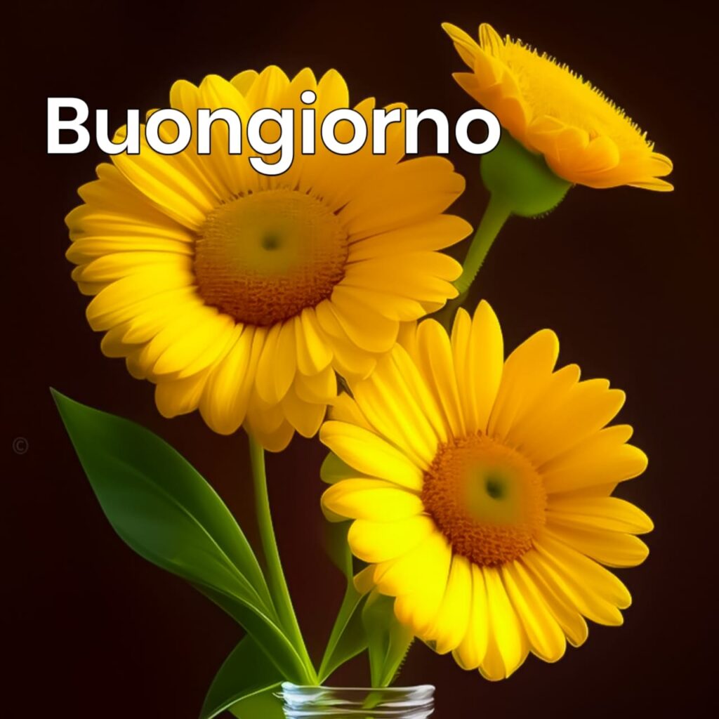 buongiorno primavera immagini buongiorno nuove 2024