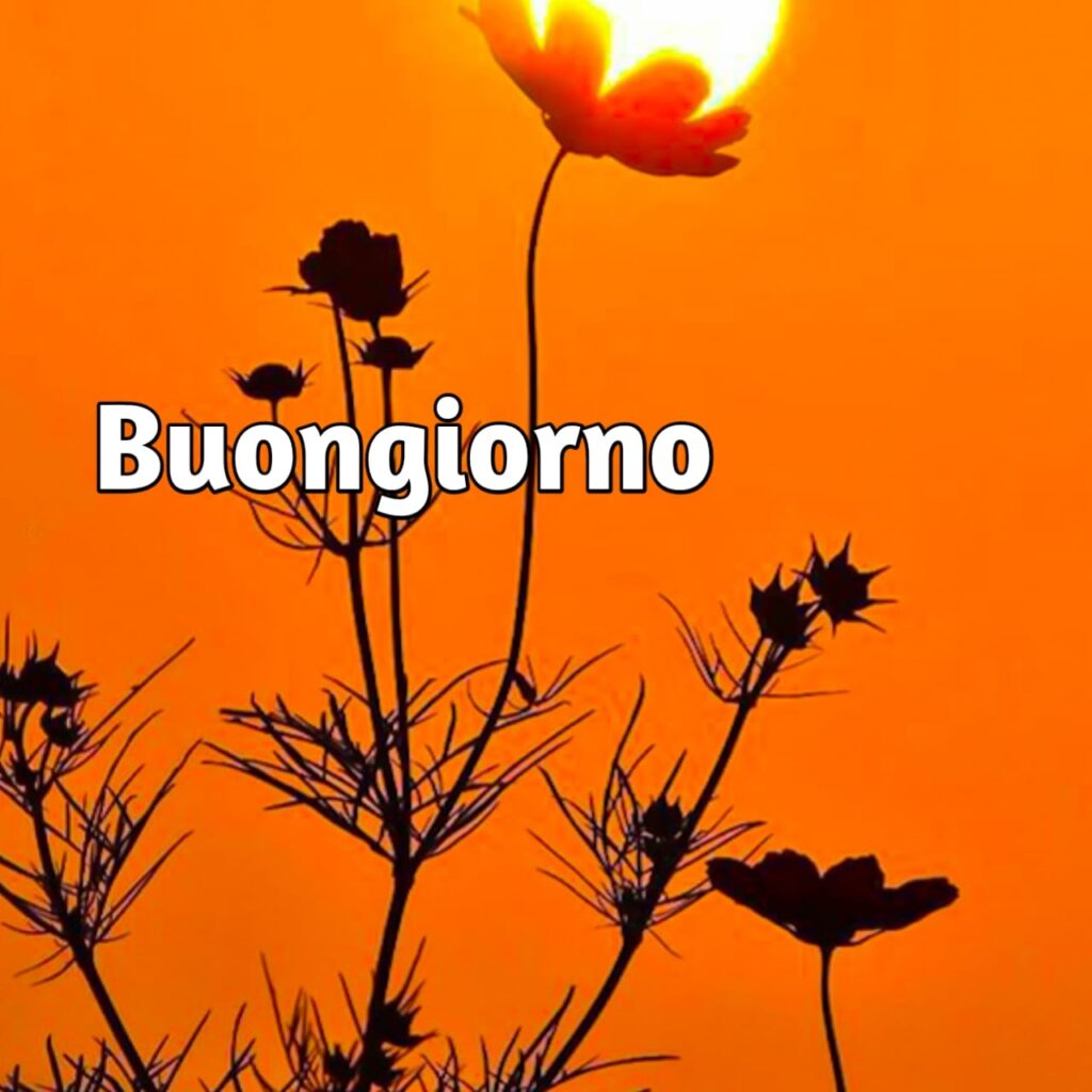 cuore buongiorno bellissimi

