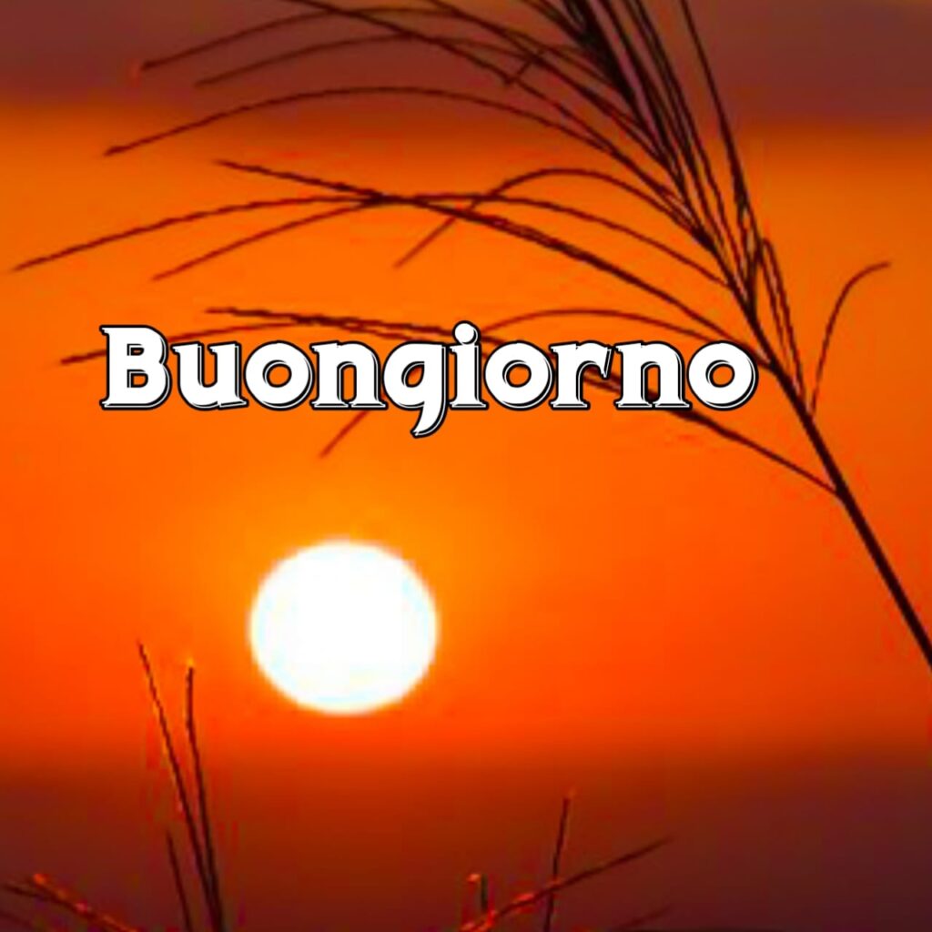 link del buongiorno bellissimi

