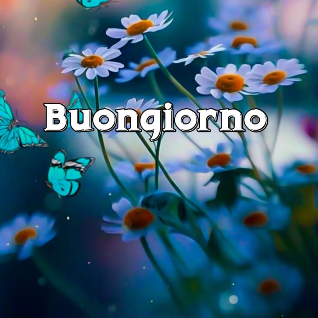 link buongiorno bellissimi