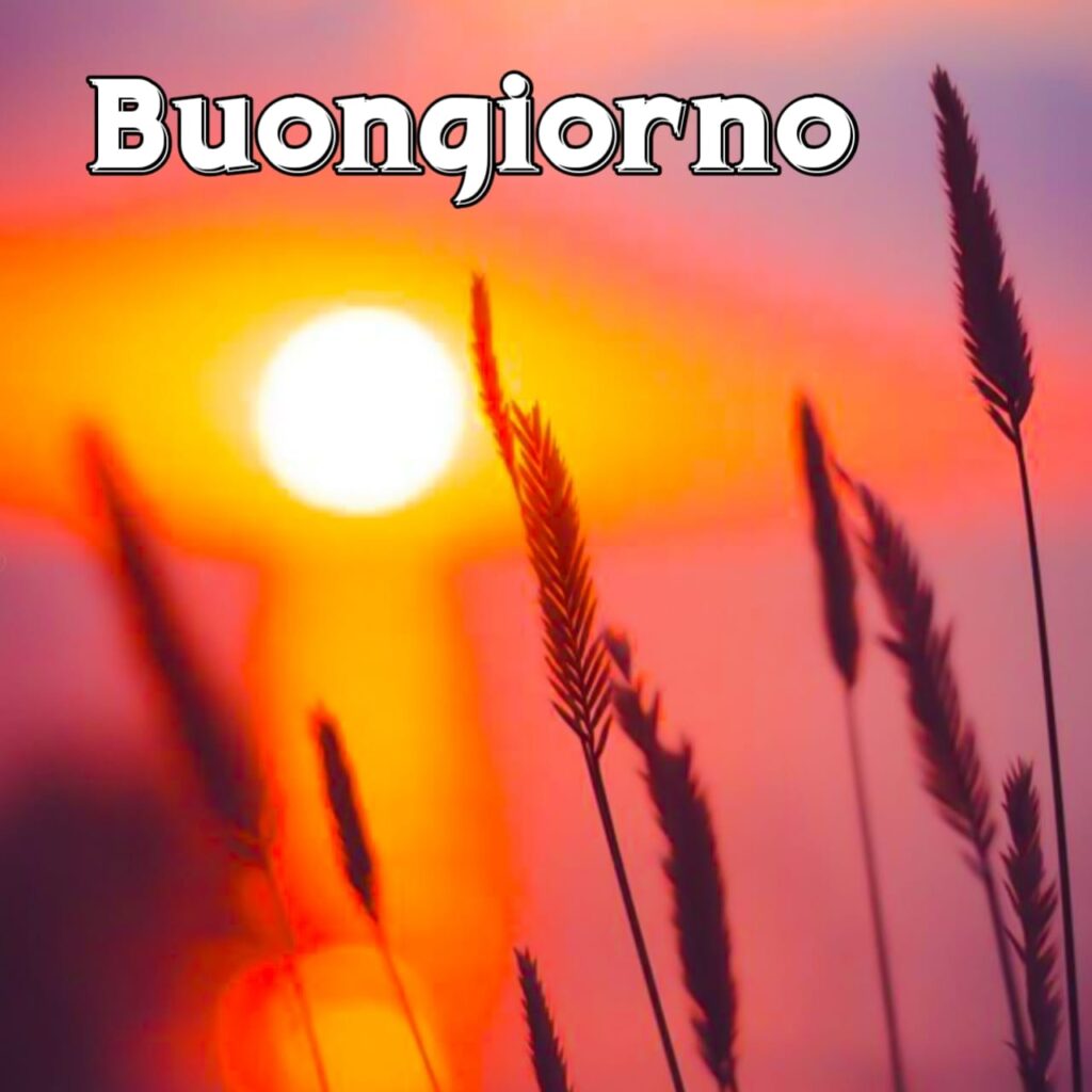 link di buongiorno bellissimi