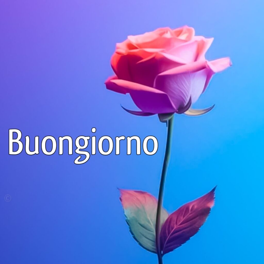 immagini buongiorno nuove 2024 gratis per whatsapp gratis