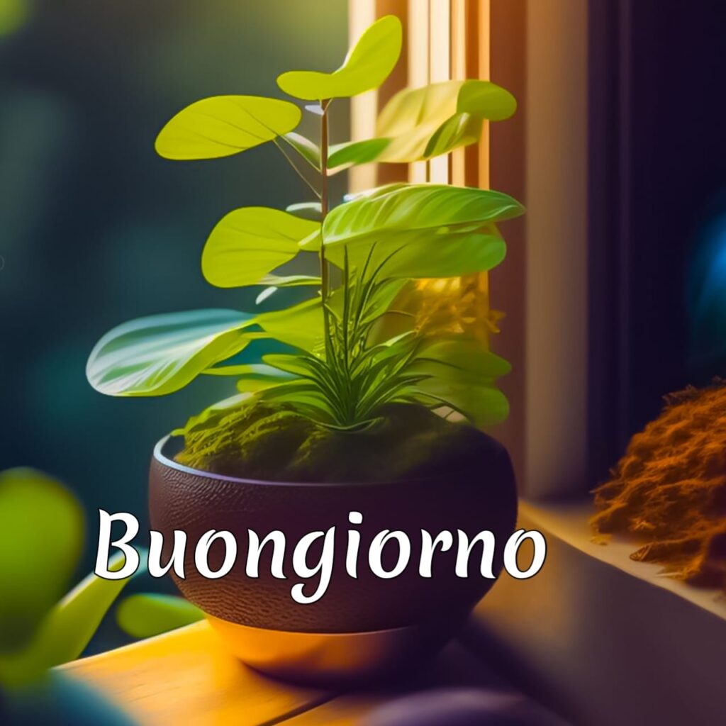 immagini buongiorno nuove autunnali