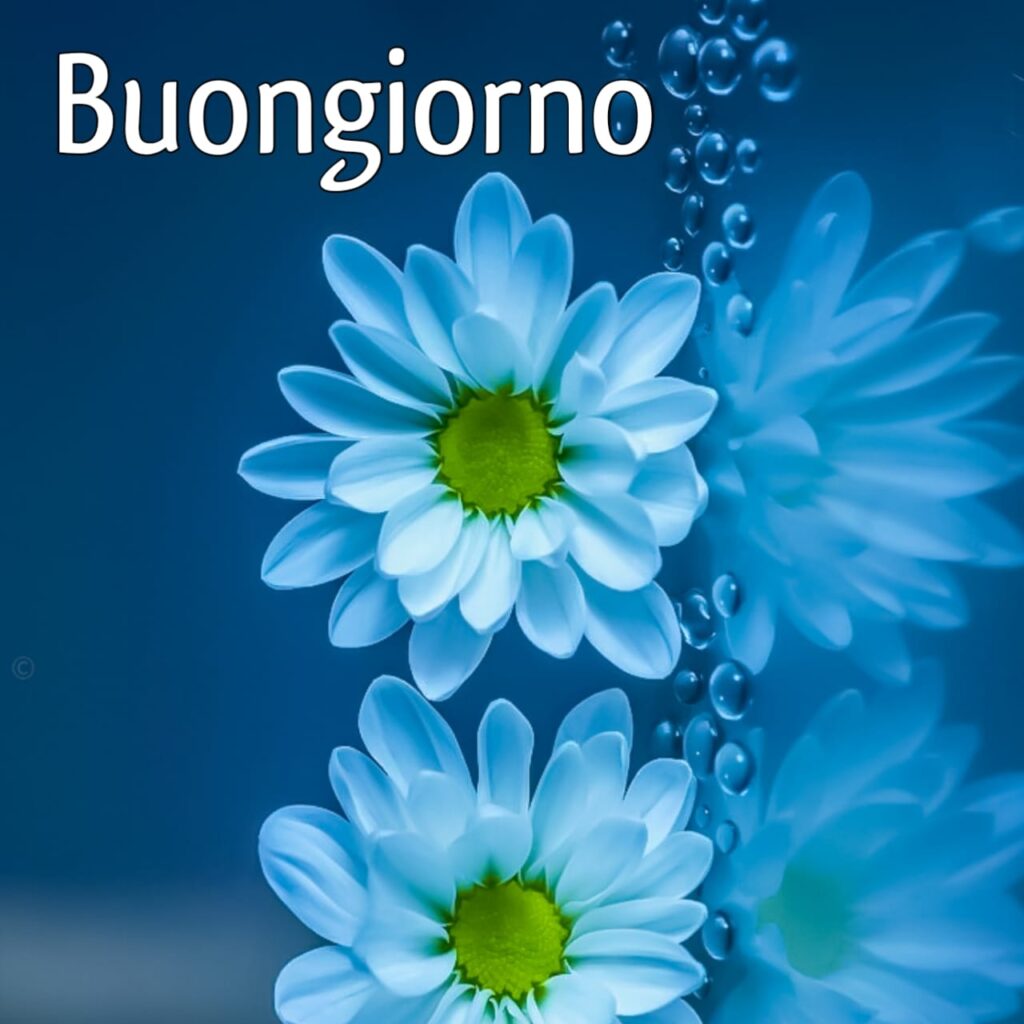 immagini buongiorno nuove e belle