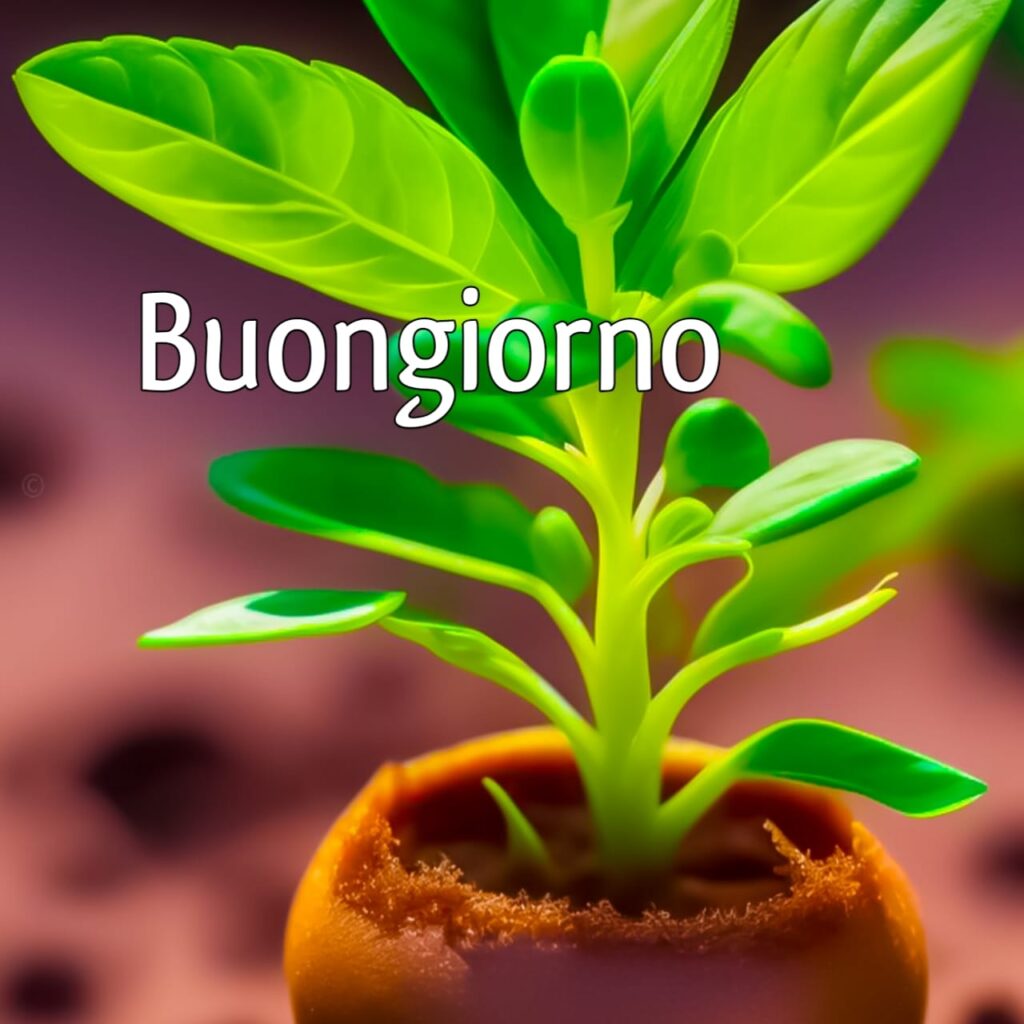 immagini buongiorno nuove e divertenti