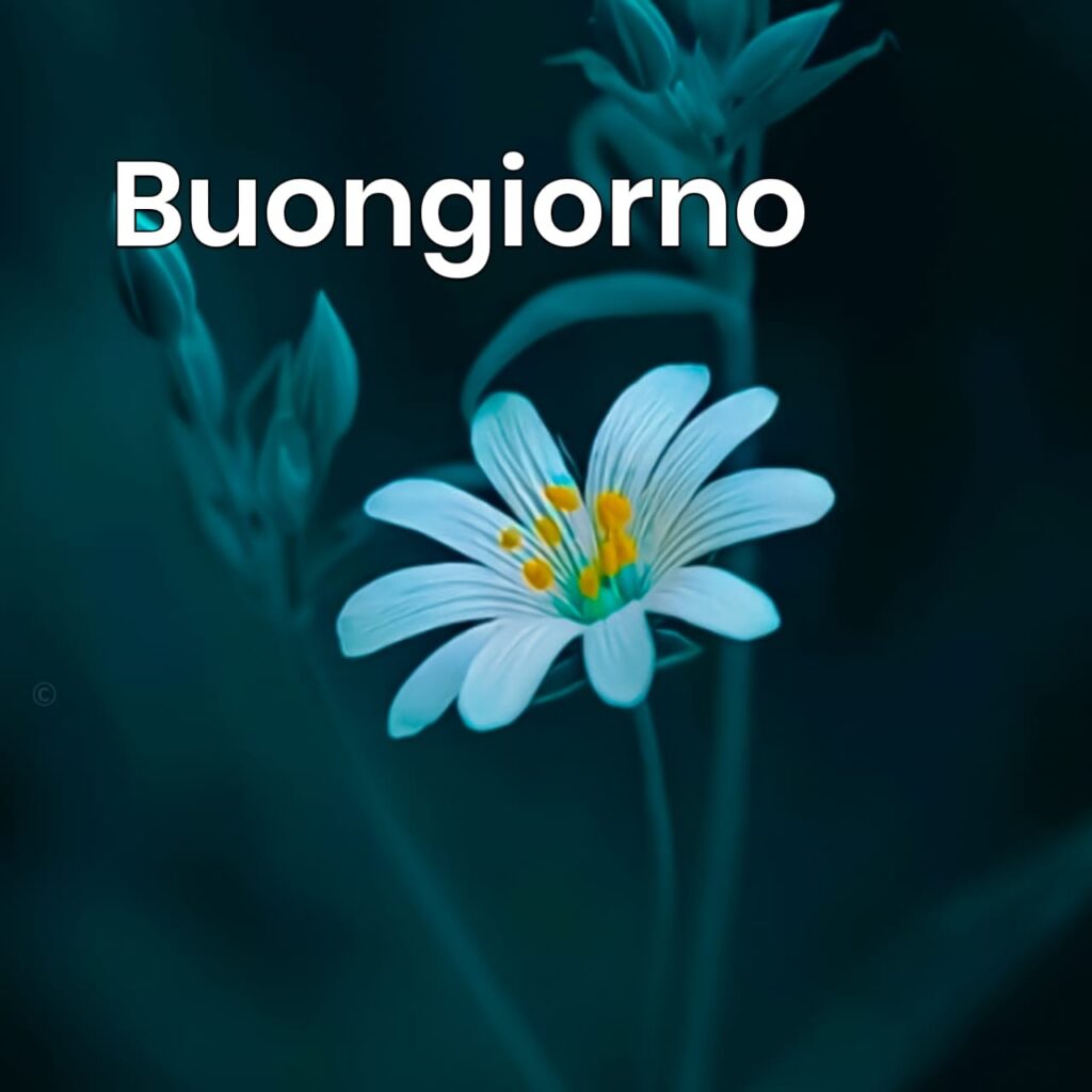 immagini buongiorno nuove mare