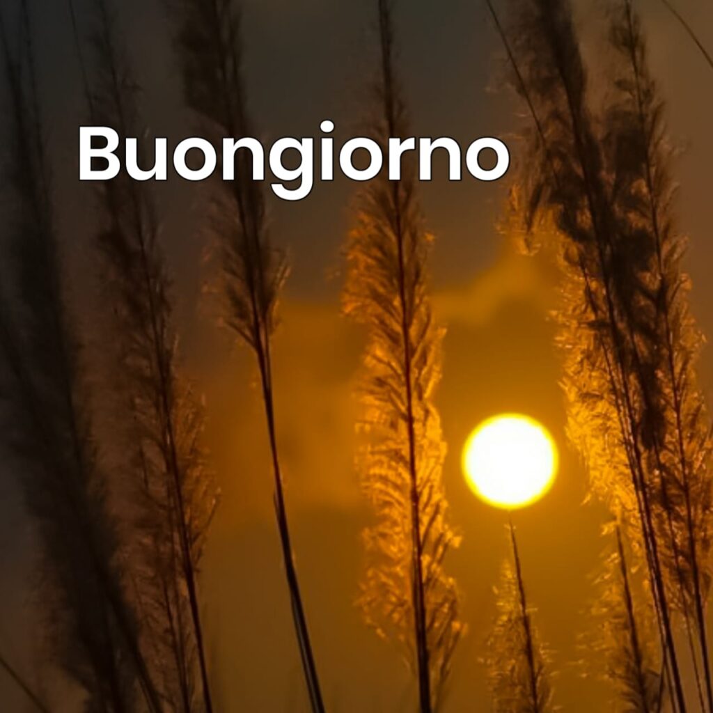 semplicemente buongiorno immagini