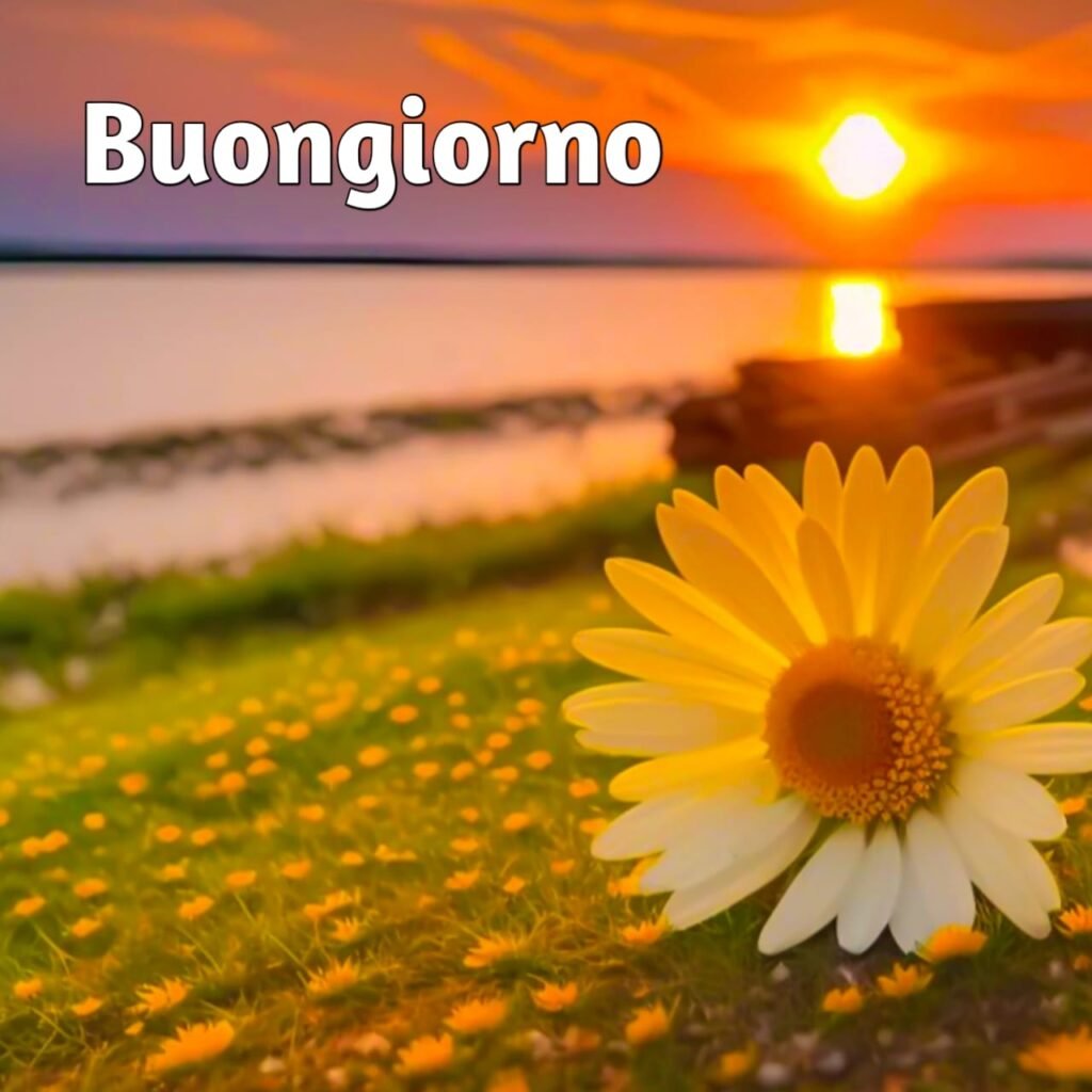 semplicemente buongiorno immagini nuove gratis