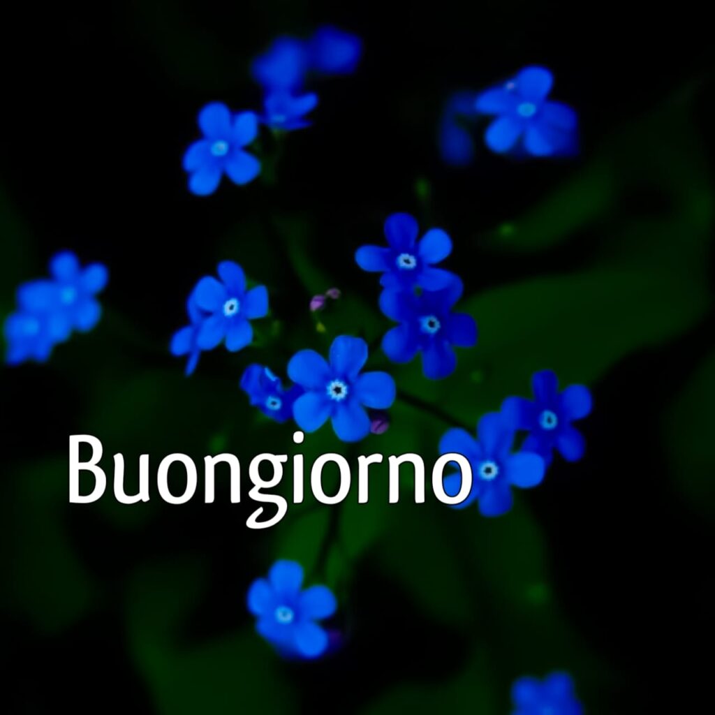 semplicemente buongiorno immagini nuove gratis per whatsapp HD