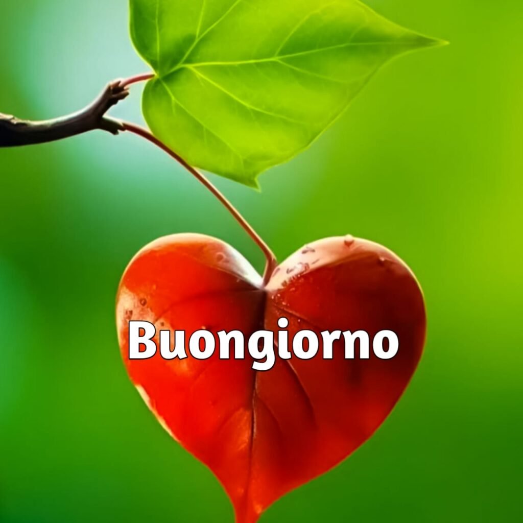 venerdì buongiorno immagini nuove