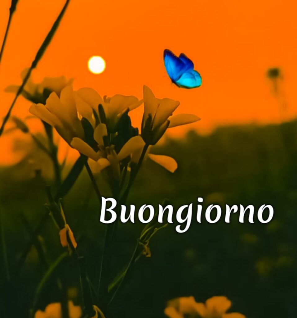 immagini buongiorno gratis per whatsapp

