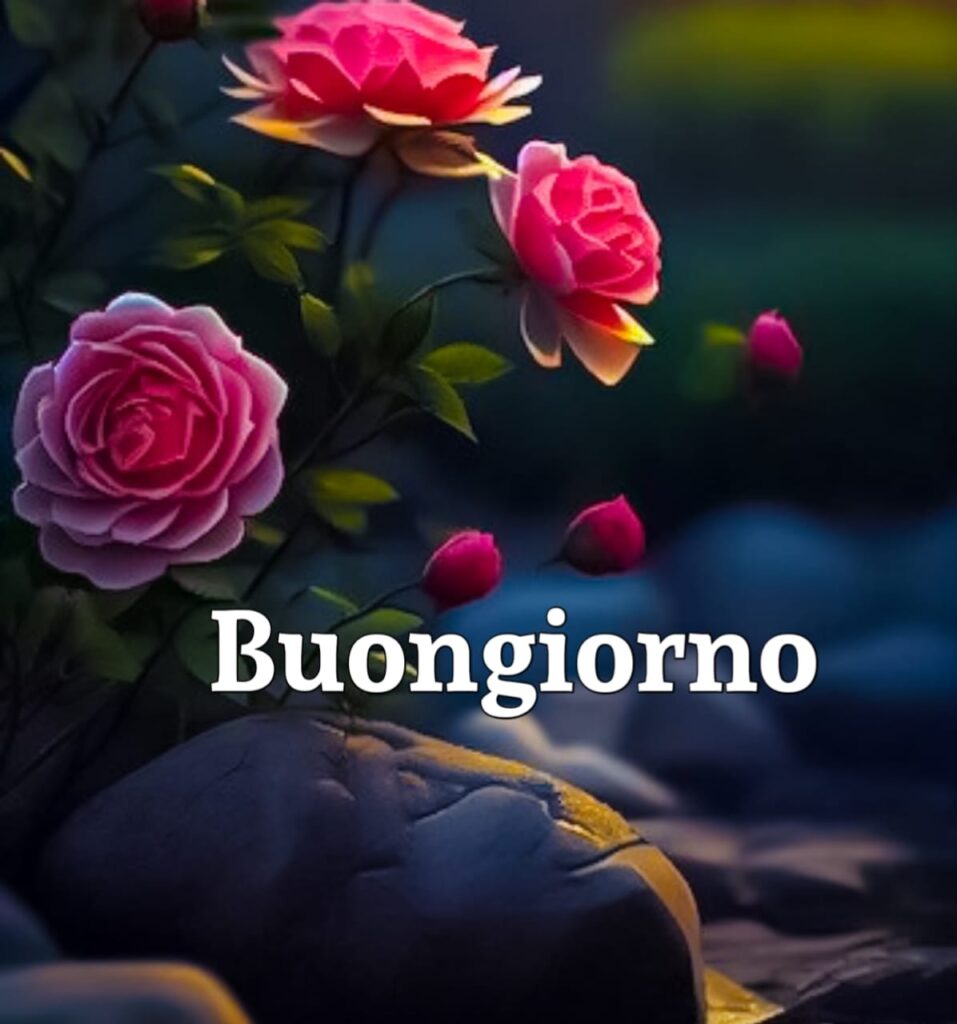 Buongiorno Simpatico Immagini 