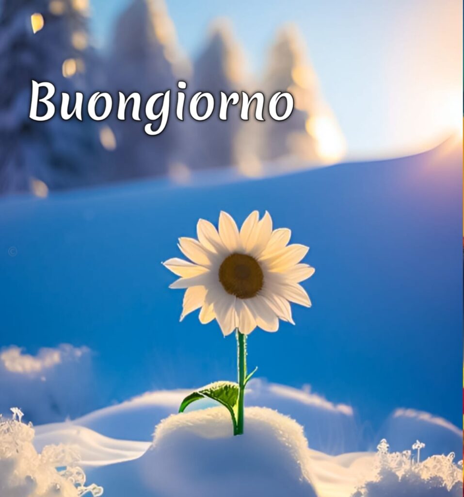 Buongiorno Simpatico Immagini 