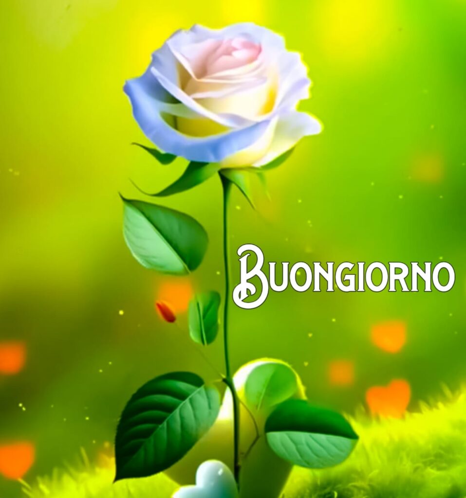 buongiorno  Originale