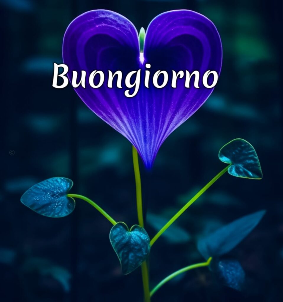 immagini buongiorno gratis per whatsapp

