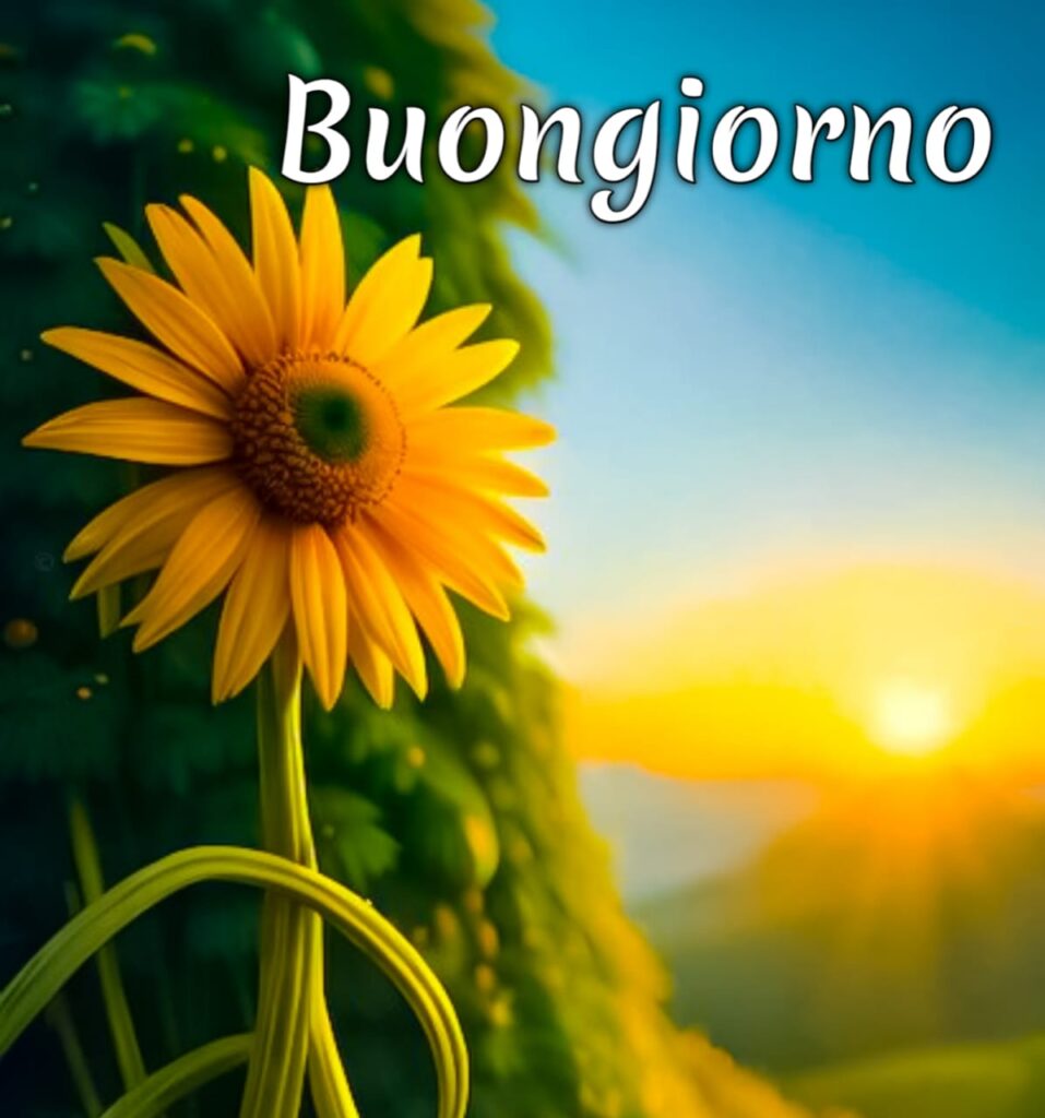 Buongiorno Simpatico Immagini 