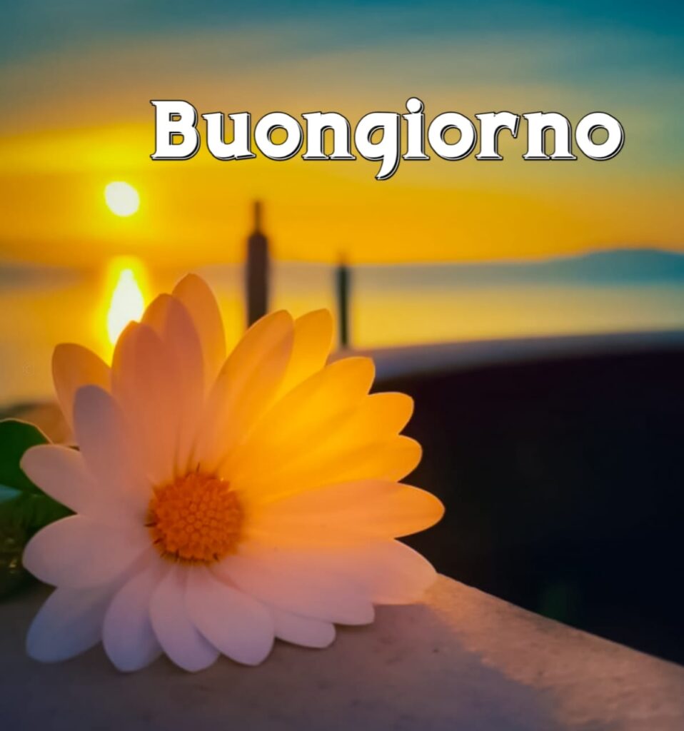 immagini buongiorno gratis per whatsapp

