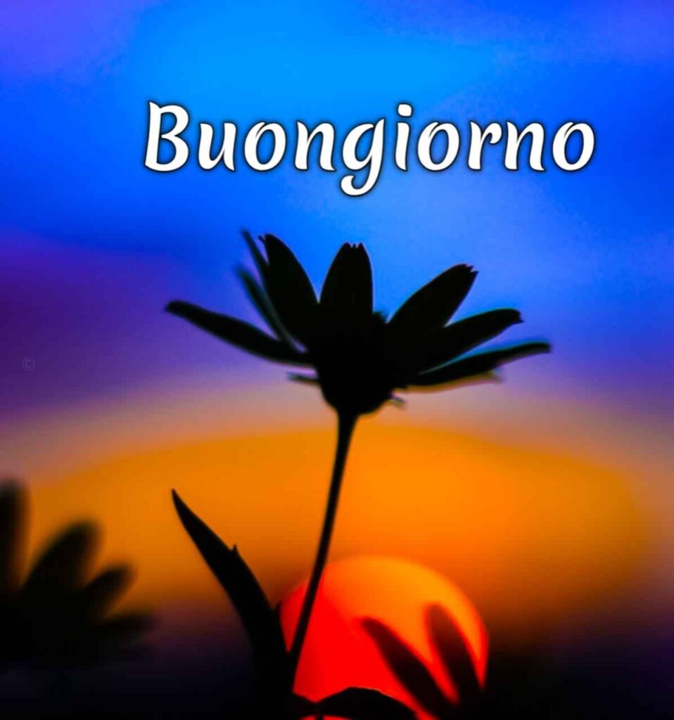 buongiorno nuovissimi