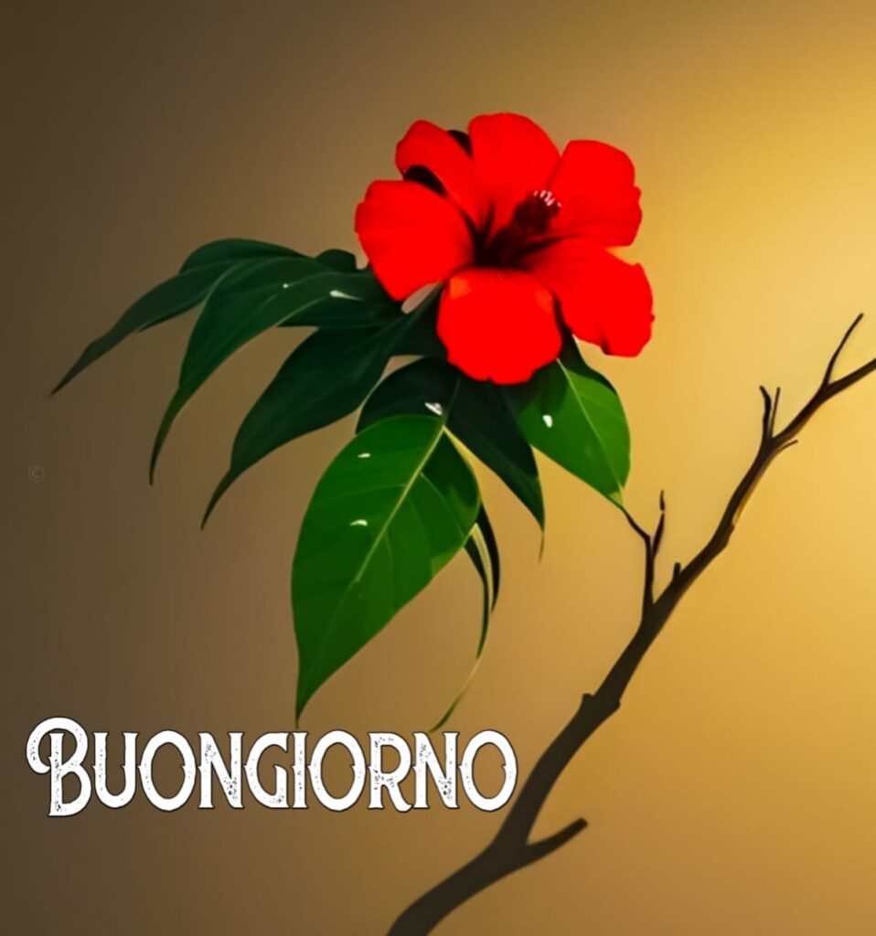 immagini buongiorno gratis per whatsapp

