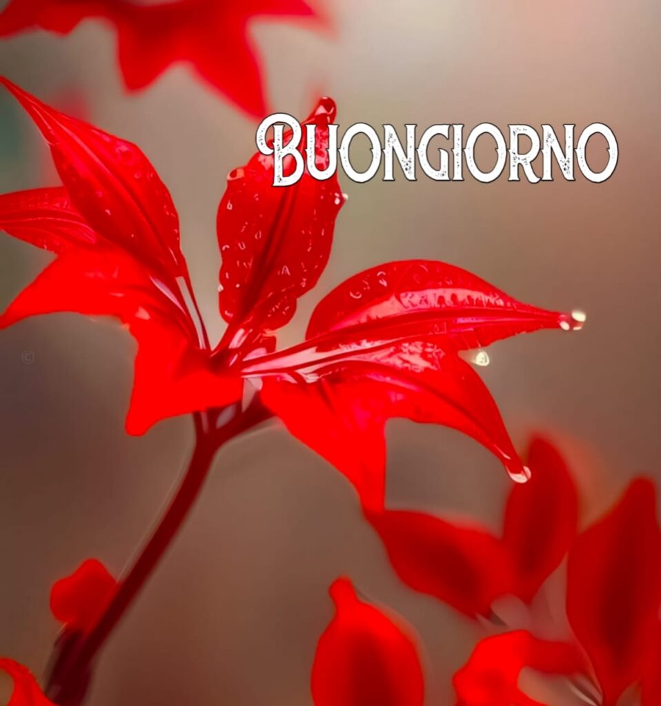 immagini buongiorno gratis per whatsapp

