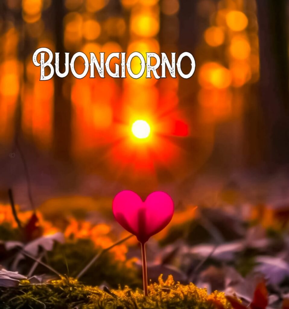 immagini buongiorno gratis per whatsapp

