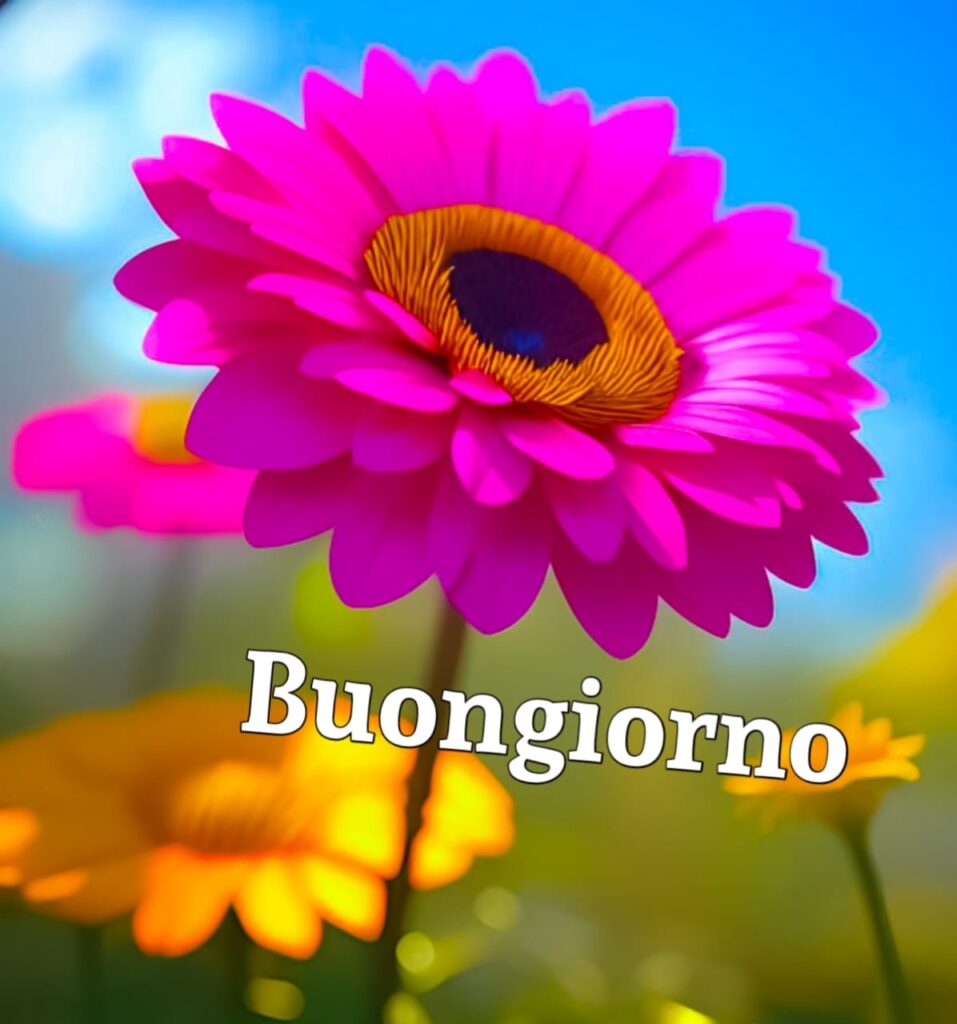 Buongiorno Simpatico Immagini 