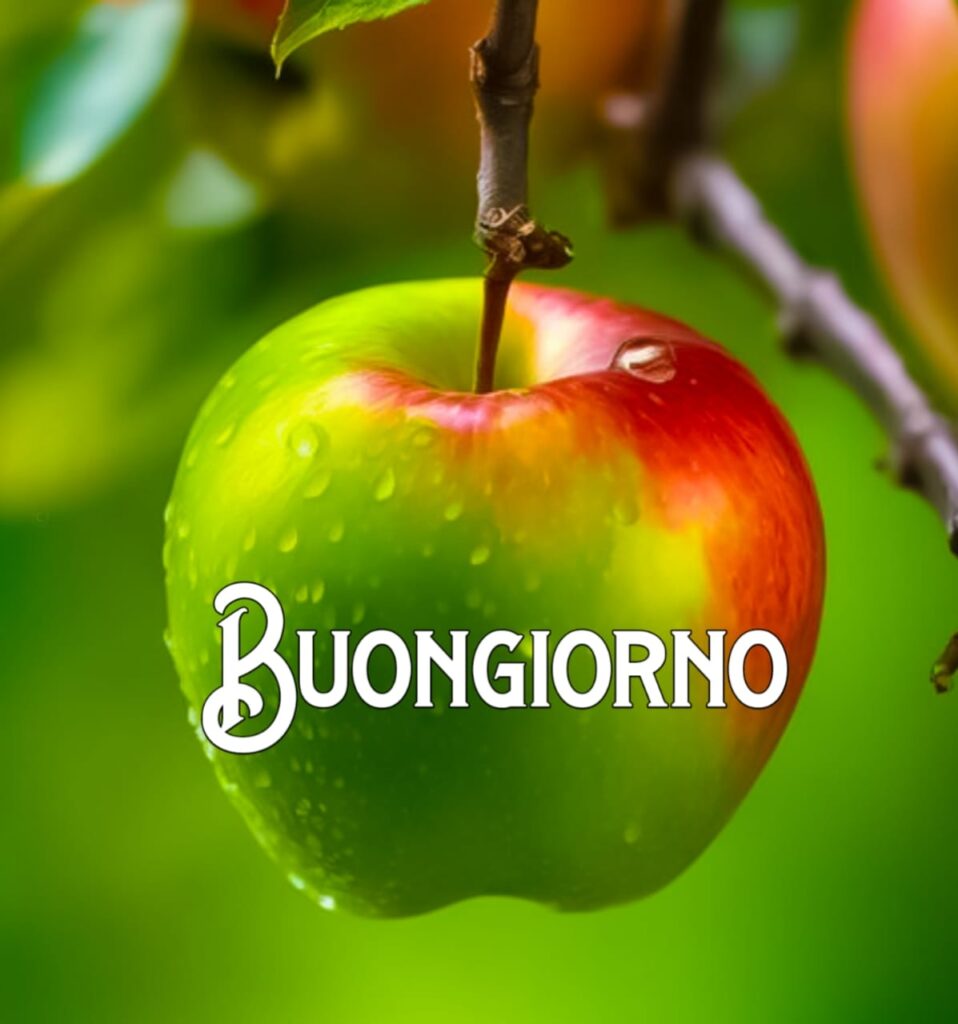 immagini buongiorno gratis per whatsapp

