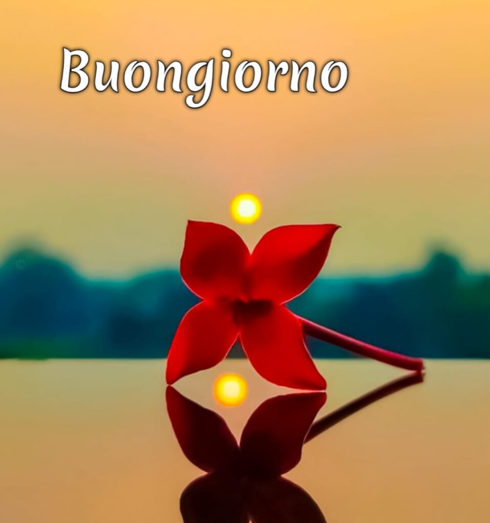 immagini buongiorno gratis per whatsapp

