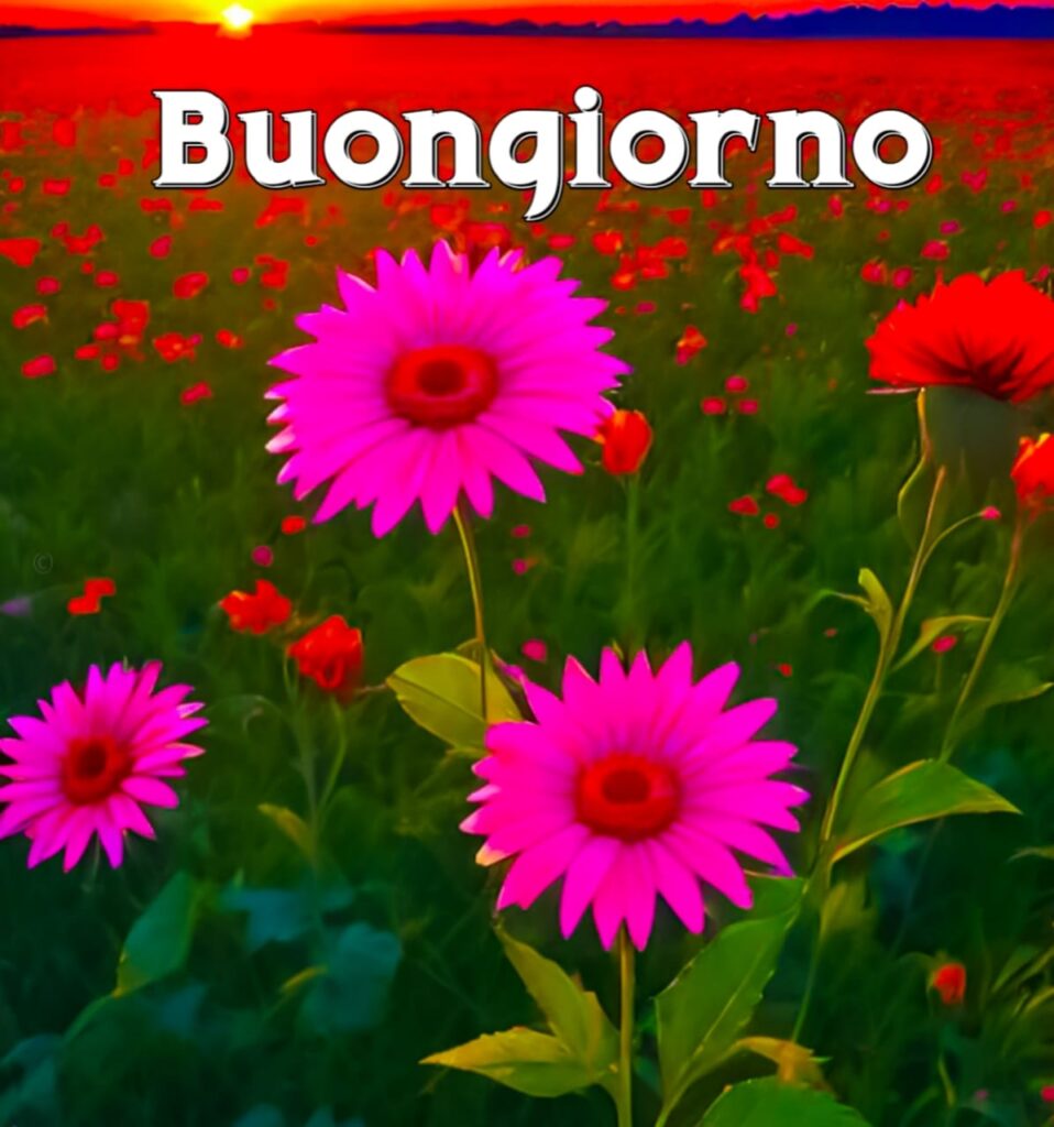 immagini buongiorno gratis per whatsapp

