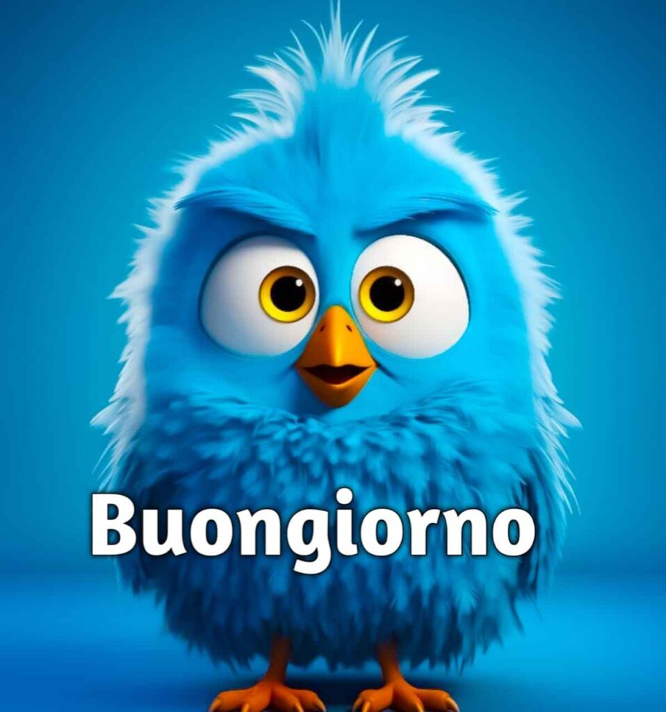 buongiorno nuovissimi