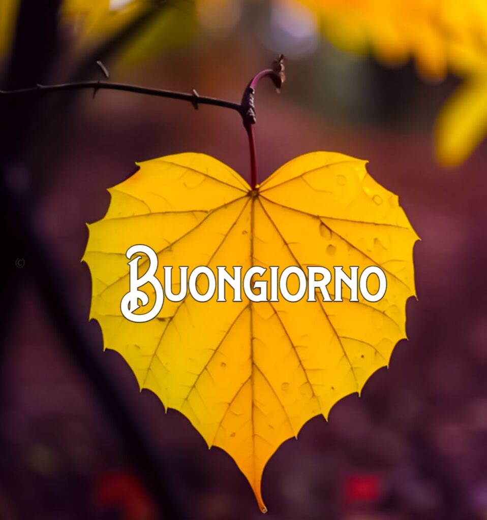 immagini buongiorno gratis per whatsapp

