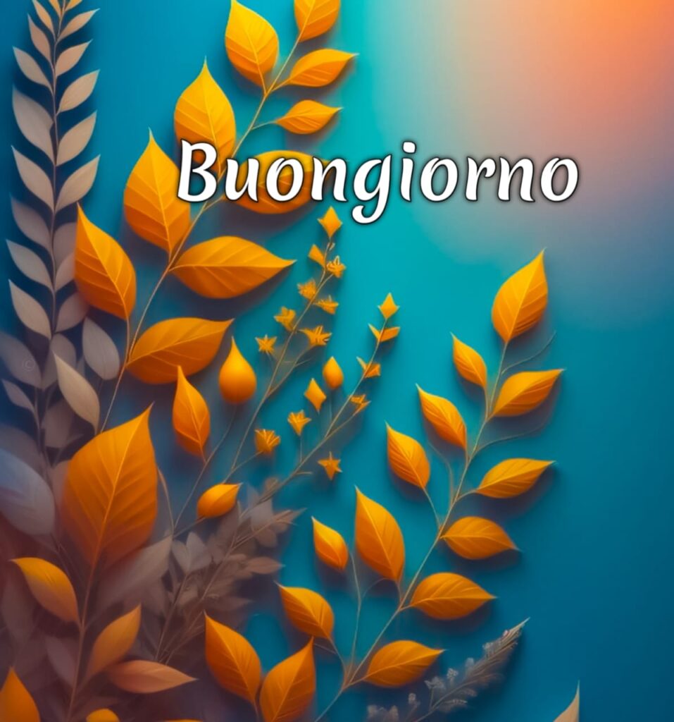 buongiorno  Originale